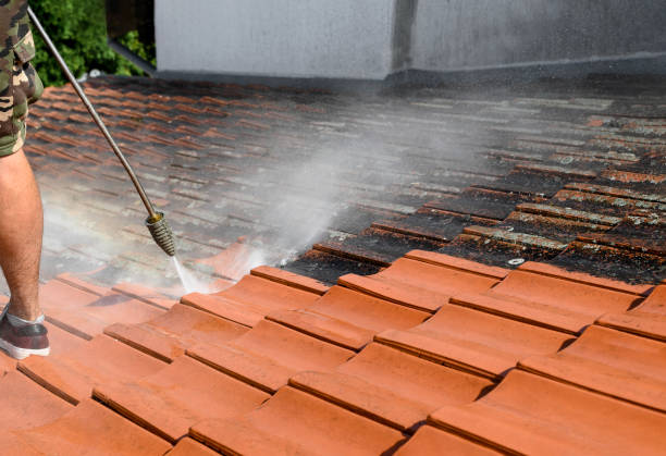Best Deck Cleaning Services  in Blountville, TN