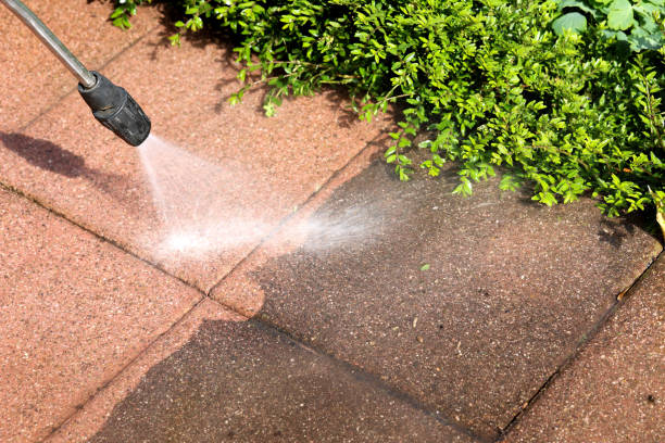 Best Local Pressure Washing Services  in Blountville, TN